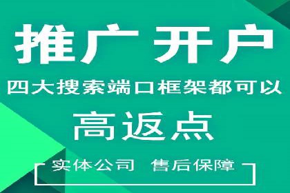 某企业通过百度SEM实现ROI最大化的案例